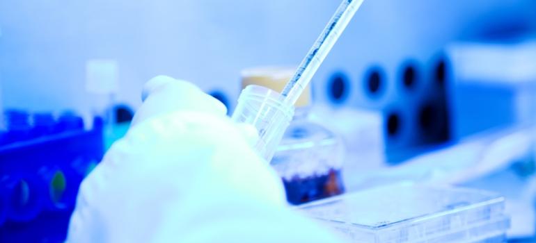 Naukowcy osiągają kolejny kamień milowy w rozwoju szczepionek przeciw leiszmaniozie