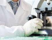 Olsztyn: Naukowcy chcą wykorzystywać komórki...