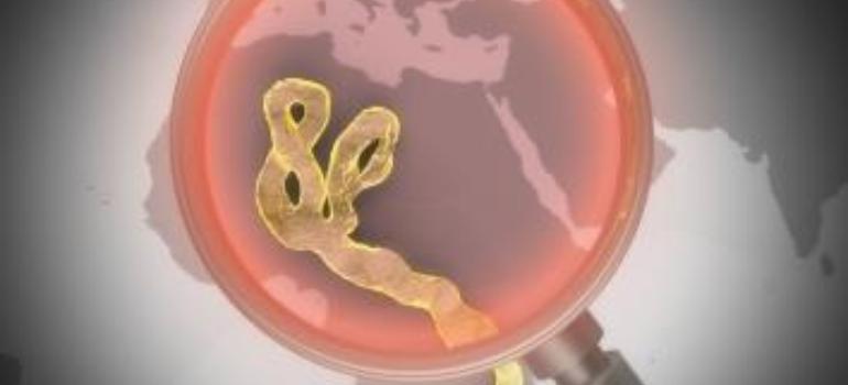 WHO: znów wzrósł bilans ofiar śmiertelnych eboli	