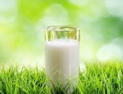 Mleko a ryzyko złamań – zaskakujące dane z BMJ