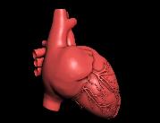 Spersonalizowany model 3D serca pomaga w zamykaniu...