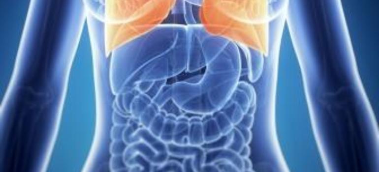 Specjaliści: można poprawić jakość leczenia raka płuca 