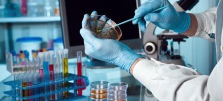 Polacy wynaleźli test sprawdzający odporność bakterii na leki