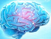 Nowa nadzieja na leczenie zaburzeń mózgu
