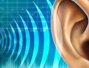 Naukowcy badają słuch, patrząc na rozszerzalność...