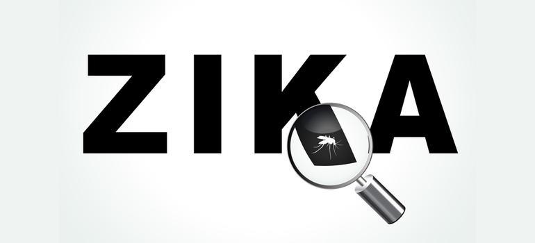 Polscy naukowcy opracowali prototyp szczepionki przeciwko wirusowi Zika